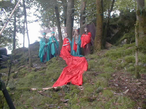 Moss Corner Costumes